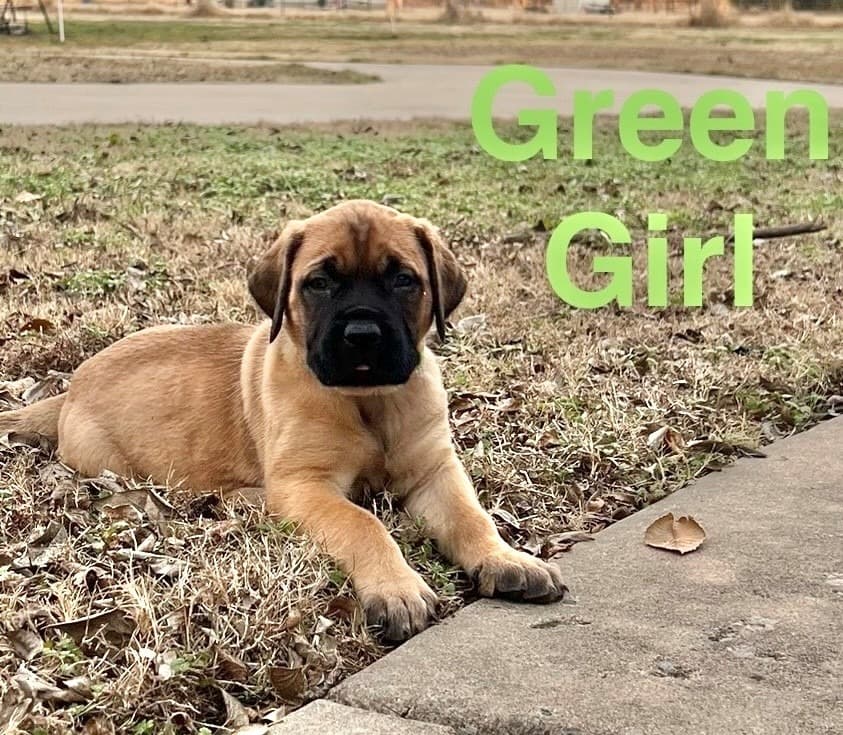 Green Girl photo